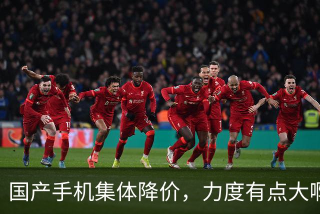 国产手机集体降价，力度有点大啊！