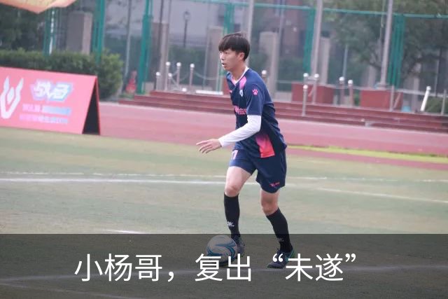 小杨哥，复出“未遂”
