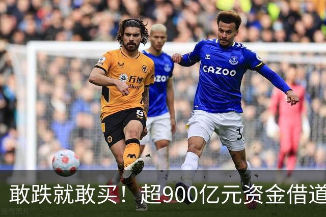 敢跌就敢买！超900亿元资金借道ETF蜂拥进场，除了沪深300，这些主题ETF也被大手笔买入