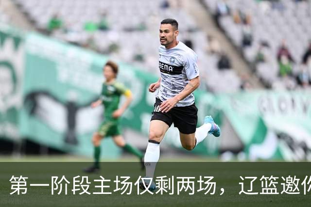 第一阶段主场仅剩两场，辽篮邀你现场为主队加油助威