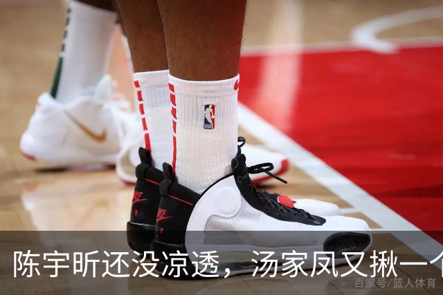 陈宇昕还没凉透，汤家凤又揪一个“精日”人员：竟然还是公司老板