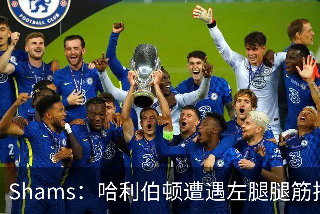 Shams：哈利伯顿遭遇左腿腿筋拉伤 将至少缺席两周